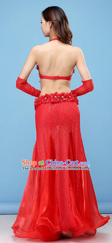 Professional Belly Dance Stage Performance Costume Indian Raks Sharki Bra and Skirt Asian Oriental Dance Uniforms