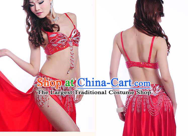 Asian Oriental Dance Red Uniforms Professional Belly Dance Stage Performance Costume Indian Raks Sharki Dancewear