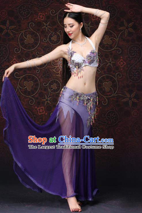 Asian Raks Sharki Performance Purple Uniforms Indian Belly Dance Costumes Oriental Dance Bra and Skirt