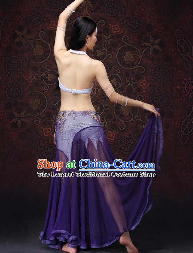 Asian Raks Sharki Performance Purple Uniforms Indian Belly Dance Costumes Oriental Dance Bra and Skirt