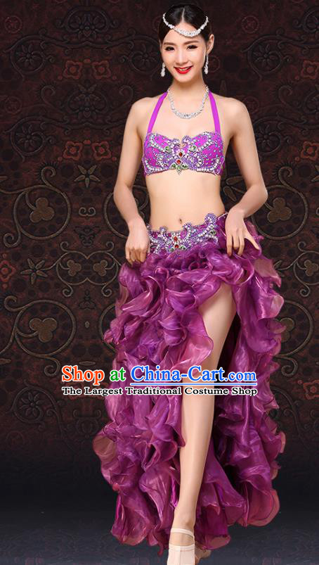 Asian Raks Sharki Bra and Skirt Indian Oriental Dance Clothing Belly Dance Purple Dress