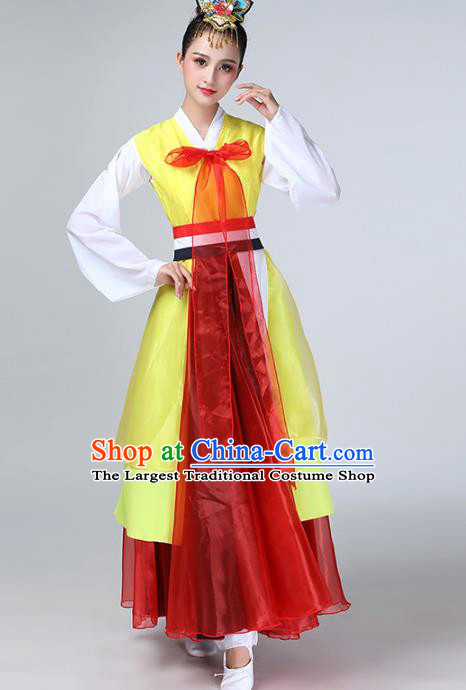 China Korea Minority Fan Dance Dress Ethnic Female Dance Garments Korean Nationality Stage Performance Clothing
