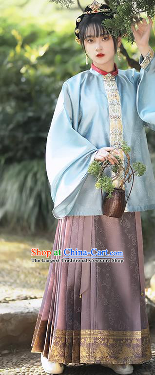 China Traditional Hanfu Garments Ming Dynasty Historical Clothing Ancient Nobility Lady Embroidered Dress Full Set