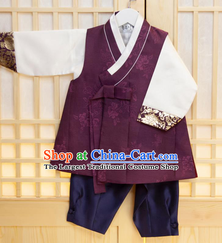 Korean Traditional Fashion Clothing Children Garment Purple Vest White Shirt and Navy Pants Korea Boys Prince Birthday Hanbok Costumes