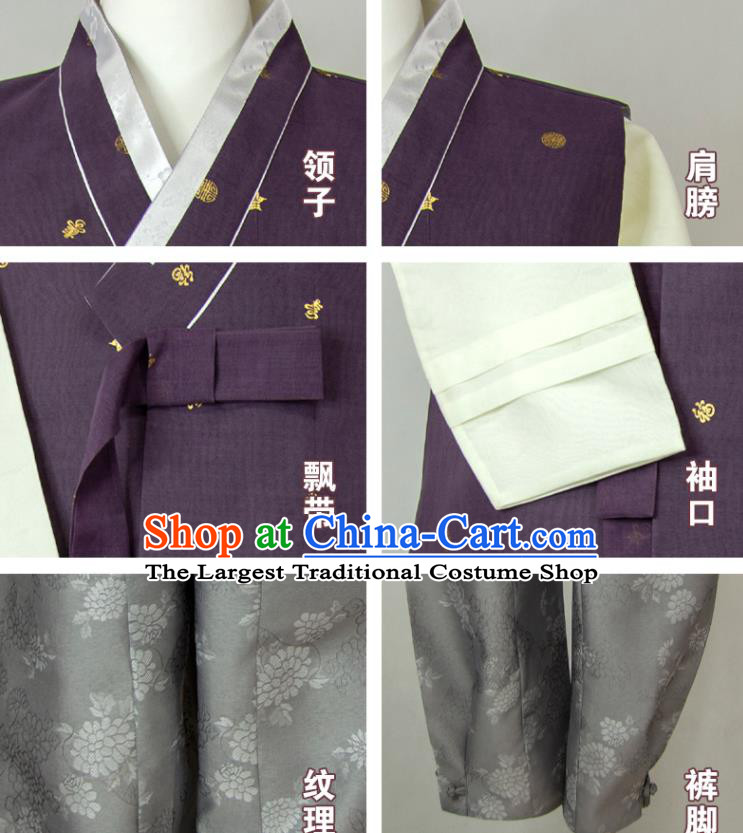 Korea Young Man Purple Vest Beige Shirt and Grey Pants Korean Traditional Festival Costumes Bridegroom Clothing Wedding Hanbok
