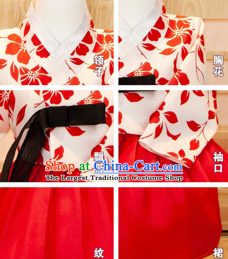 Korea Girl Festival Printing White Shirt and Red Dress Traditional Garment Costumes Children Hanbok Clothing Korean Princess Fashion