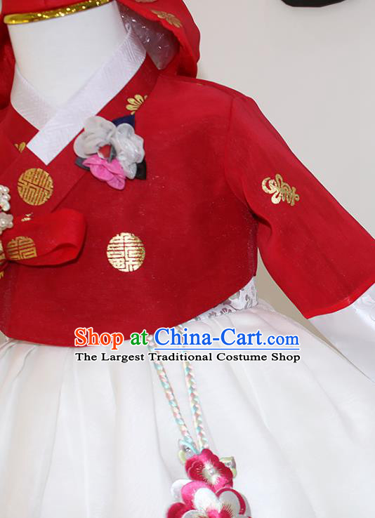 Traditional Korean Fashion Apparels Hanbok Clothing Children Girl Red Blouse and White Dress