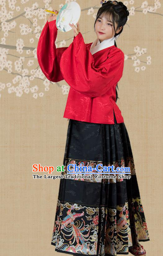 China Ming Dynasty Historical Clothing Traditional Hanfu Costumes Ancient Patrician Lady Dress Garments