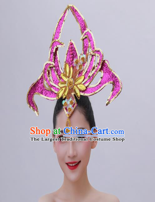 Chinese Opening Dance Hair Accessories Spring Festival Gala Performance Headpiece Modern Dance Rosy Sequins Hair Crown