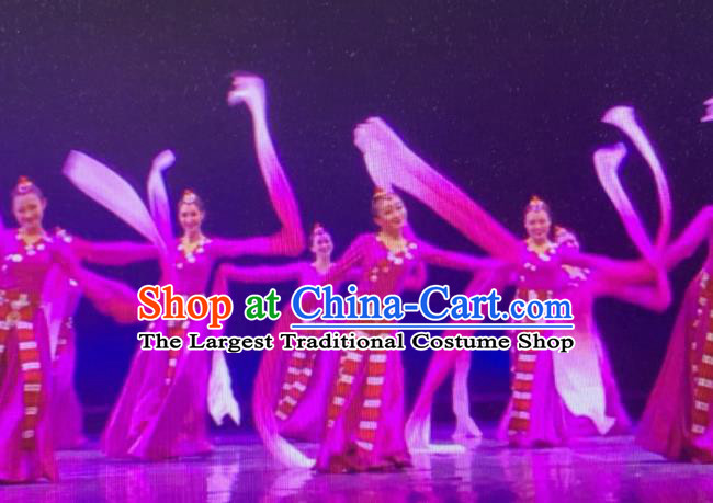 Chinese Zang Minority Rosy Dress Outfits Tibetan Nationality Dance Clothing Ethnic Performance Costume Woman Dance Garments