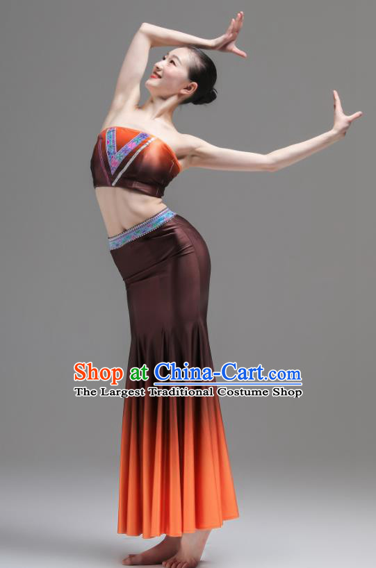 Chinese Dai Minority Performance Orange Dress Outfits Yunnan Nationality Clothing Peacock Dance Costumes Ethnic Woman Garments
