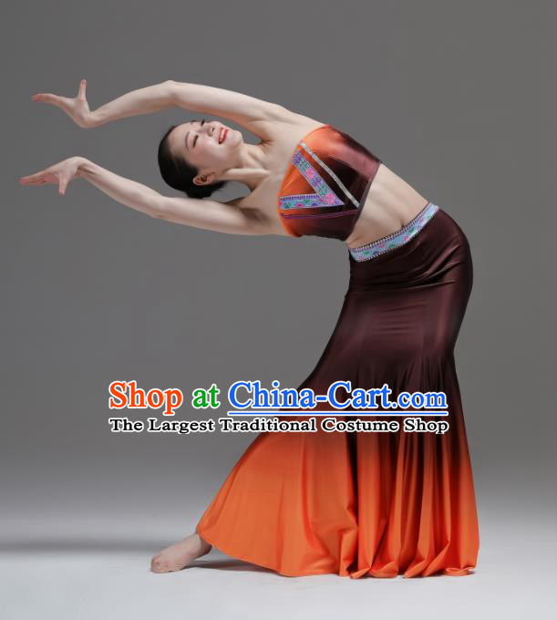Chinese Dai Minority Performance Orange Dress Outfits Yunnan Nationality Clothing Peacock Dance Costumes Ethnic Woman Garments