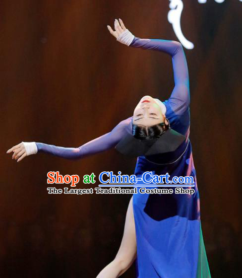 China Woman Solo Dance Garment Costume Ancient Palace Lady Blue Dress Classical Dance Qing Dynasty Clothing