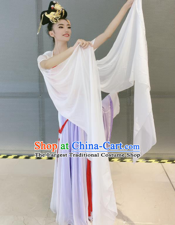 China Moon Fairy Dance Costumes Women Group Dance Clothing Classical Dance Lilac Dress Stage Performance Outfits