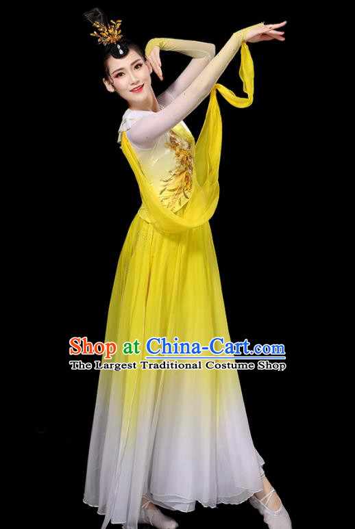 China Classical Dance Garment Costumes Umbrella Dance Dress Palace Fan Dance Yellow Outfits Woman Performance Clothing