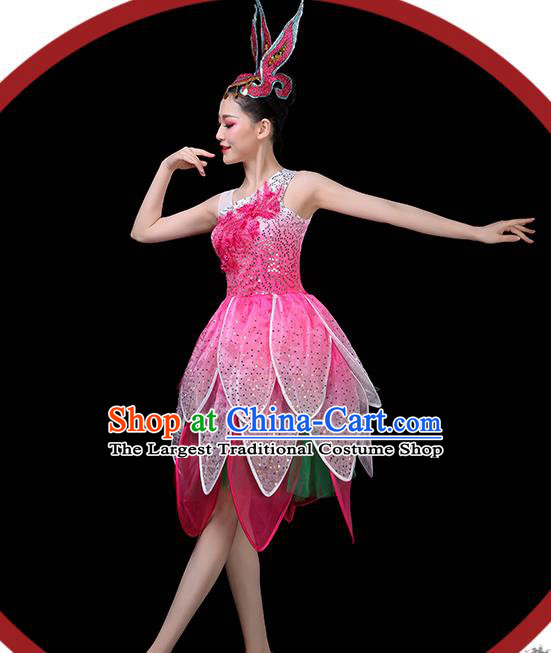 Professional China Modern Dance Clothing Opening Dance Pink Dress Women Group Dance Costume Lotus Dance Garments