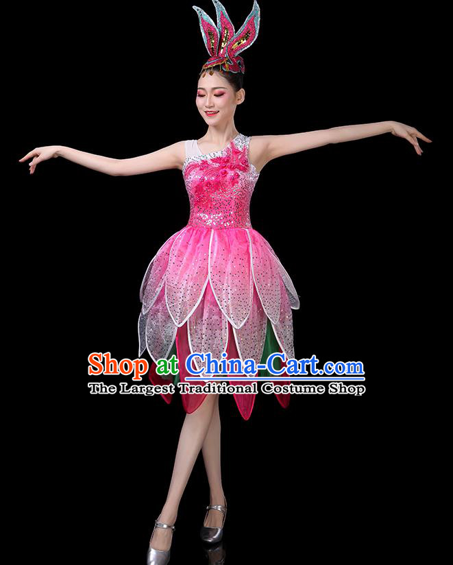 Professional China Modern Dance Clothing Opening Dance Pink Dress Women Group Dance Costume Lotus Dance Garments