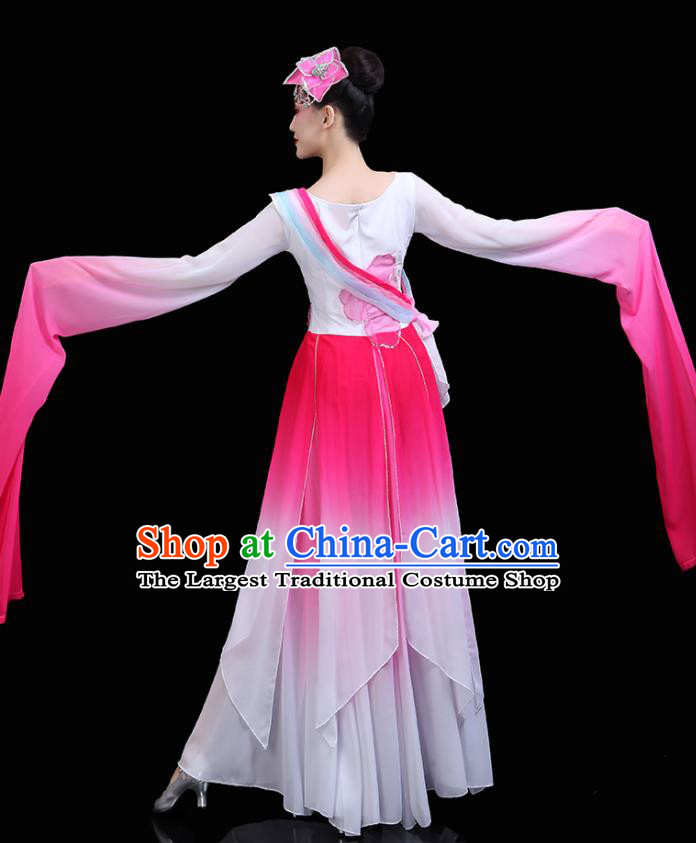 China Classical Dance Clothing Umbrella Dance Garment Costumes Water Sleeve Dance Pink Dress Jinghong Dance Outfits Woman Dancewear