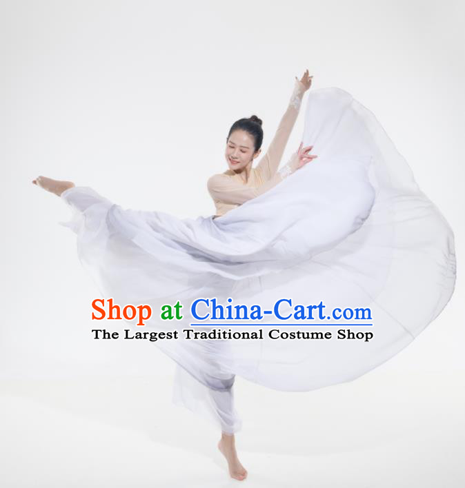 Professional Modern Dance White Dress Opening Dance Garment Group Dance Fashion Women Performance Costume