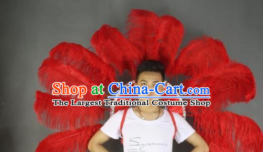 Top Halloween Cosplay Deluxe Back Decorations Miami Angel Catwalks Props Stage Show Red Ostrich Feather Wings Brazilian Parade Accessories