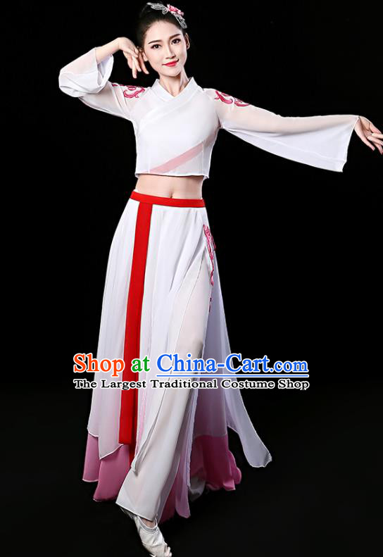 China Classical Dance Dress Stage Performance Clothing Fan Dance Garment Costume