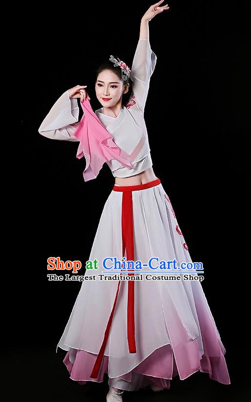 China Classical Dance Dress Stage Performance Clothing Fan Dance Garment Costume