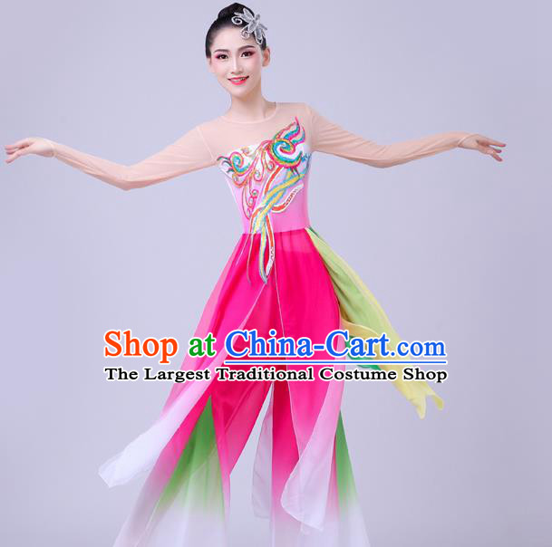 China Fan Dance Garment Costume Classical Dance Dress Stage Performance Clothing Lotus Dance Attires