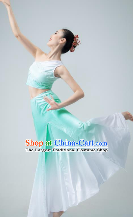 Chinese Stage Performance Garment Peacock Dance Clothing Dai Nationality Pavane Costume Classical Dance Green Dress