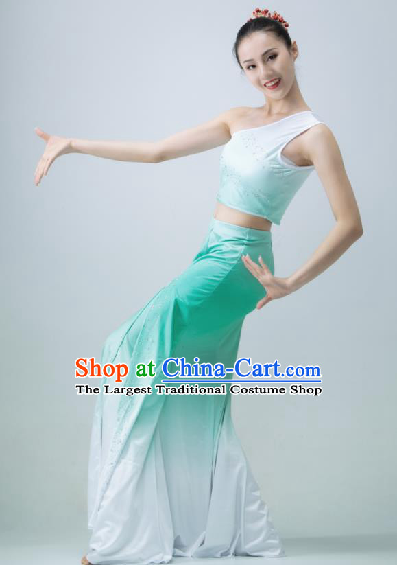 Chinese Stage Performance Garment Peacock Dance Clothing Dai Nationality Pavane Costume Classical Dance Green Dress