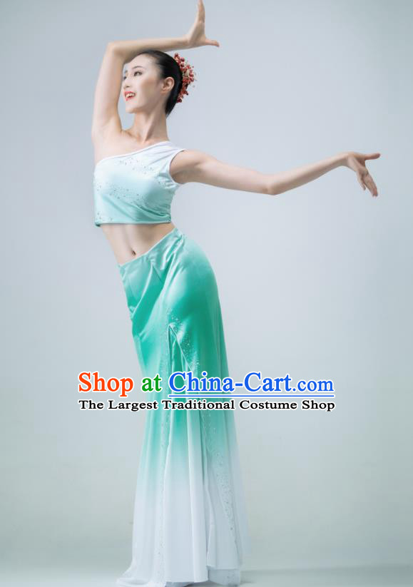 Chinese Stage Performance Garment Peacock Dance Clothing Dai Nationality Pavane Costume Classical Dance Green Dress