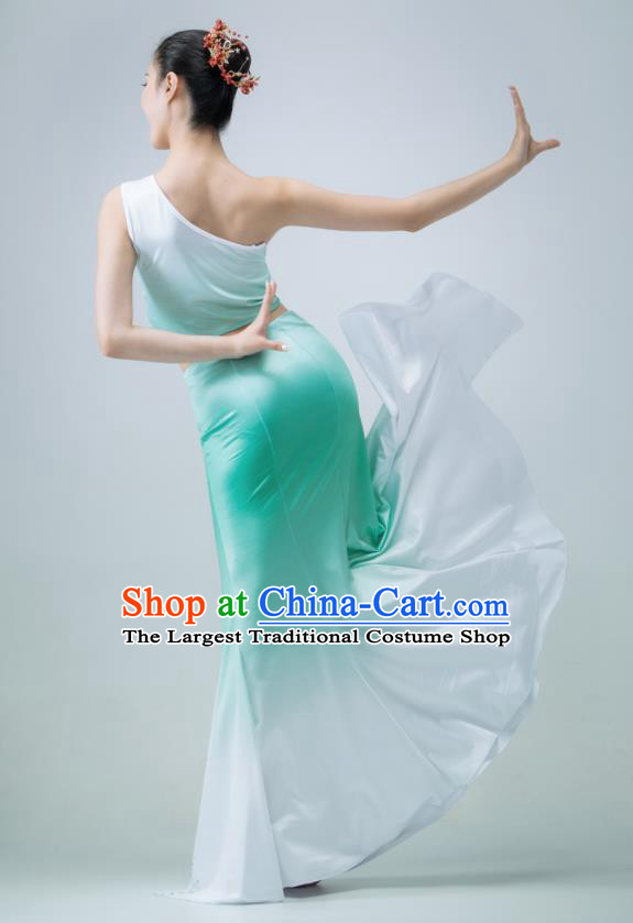 Chinese Stage Performance Garment Peacock Dance Clothing Dai Nationality Pavane Costume Classical Dance Green Dress