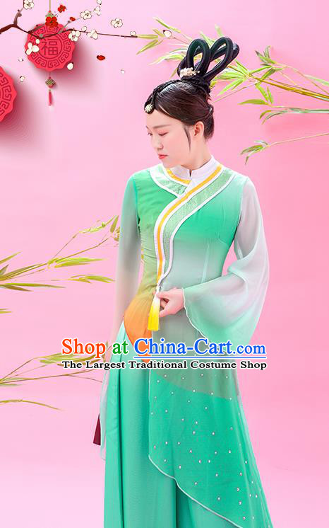 Chinese Classical Dance Green Outfit Women Dance Competition Garment Costume Fan Dance Clothing