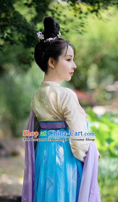 Chinese Tang Dynasty Princess Clothing Traditional Blue Hanfu Dress Ancient Palace Lady Garment Costumes