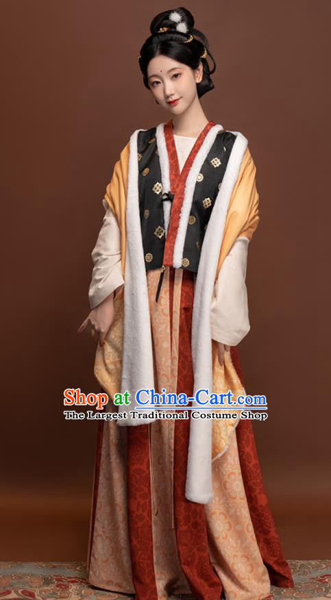 Chinese Ancient Palace Lady Clothing Winter Traditional Hanfu Dresses Tang Dynasty Young Beauty Garment Costumes