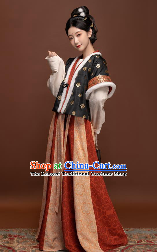 Chinese Ancient Palace Lady Clothing Winter Traditional Hanfu Dresses Tang Dynasty Young Beauty Garment Costumes