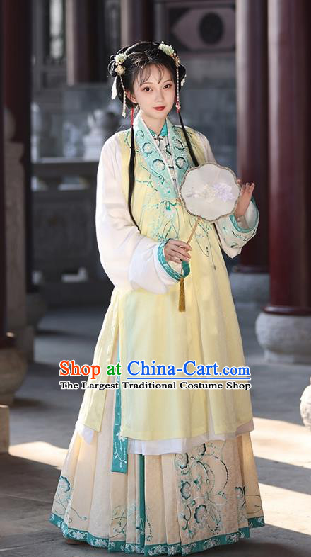China Ming Dynasty Young Lady Hanfu A Dream in Red Mansions The Twelve Beauties of Jinling Qiao Jie Costumes