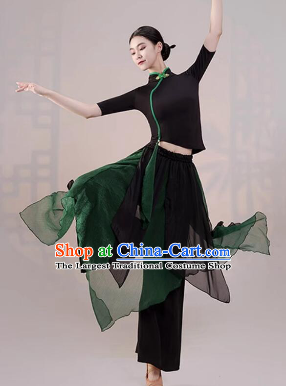 China Modern Dance Black and Green Outfit Classical Dance Costume Woman Dance Training Clothing