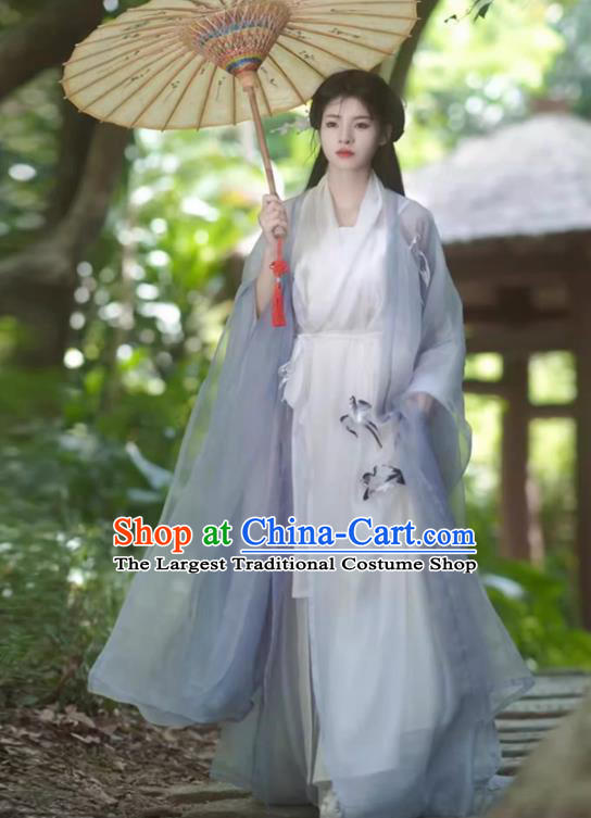 China Ancient Fairy Clothing Southern and Northern Dynasties Woman Costumes Traditional Hanfu Wide Sleeve Dress
