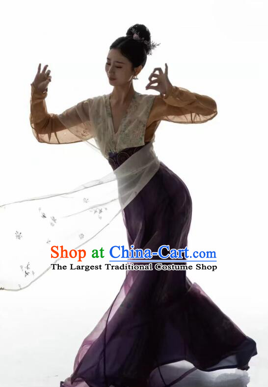 Chinese Tang Dynasty Princess Garments Ancient Young Lady Costumes Classical Dance Hanfu Dress