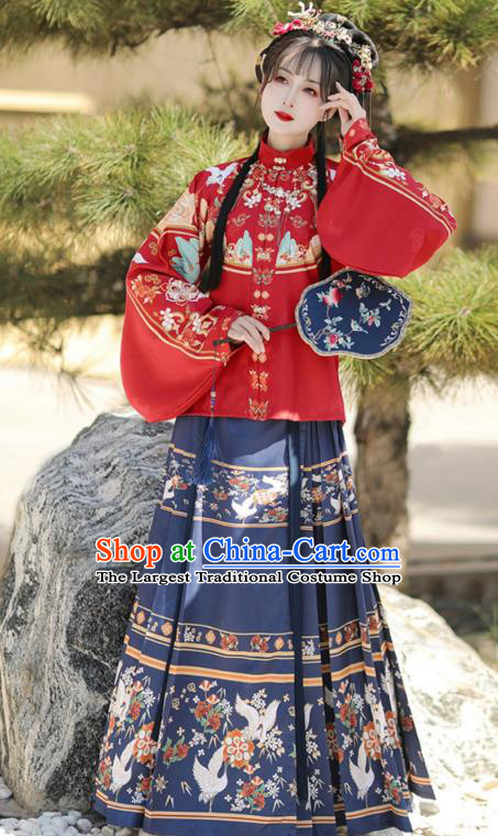 Chinese Ming Dynasty Royal Princess Costumes Traditional Hanfu Mandarin Jacket and Ma Mian Skirt Ancient Noble Lady Clothing