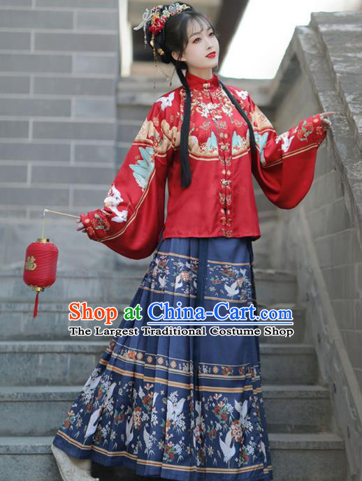 Chinese Ming Dynasty Royal Princess Costumes Traditional Hanfu Mandarin Jacket and Ma Mian Skirt Ancient Noble Lady Clothing