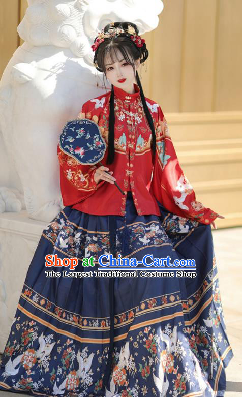 Chinese Ming Dynasty Royal Princess Costumes Traditional Hanfu Mandarin Jacket and Ma Mian Skirt Ancient Noble Lady Clothing