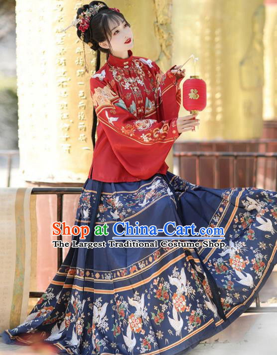Chinese Ming Dynasty Royal Princess Costumes Traditional Hanfu Mandarin Jacket and Ma Mian Skirt Ancient Noble Lady Clothing