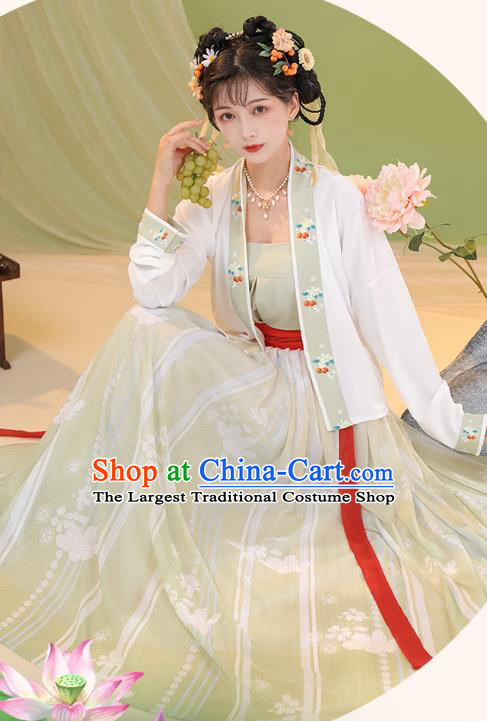 China Song Dynasty Young Lady Dresses Traditional Stage Dance Hanfu Fashion Ancient Princess Costumes