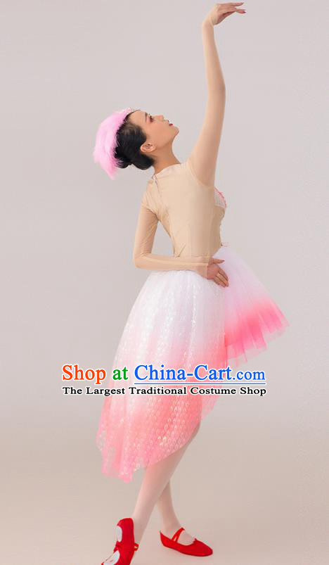China  Spring Festival Gala Crested Ibises Costume Modern Dance Clothing Dancing Competition Pink Dress