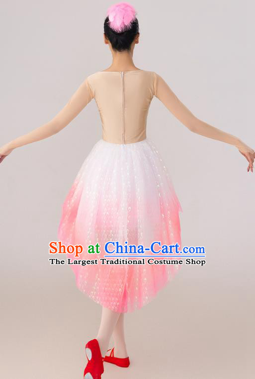 China  Spring Festival Gala Crested Ibises Costume Modern Dance Clothing Dancing Competition Pink Dress