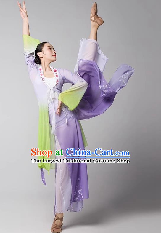 Dreamcatcher - Mesh Skirt, Dance Costumes