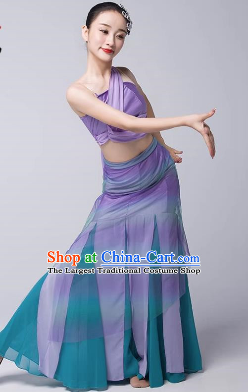 Art Examination Peacock Dance Practice Skirt Dai Dance Costume Female National Dance Performance Clothing