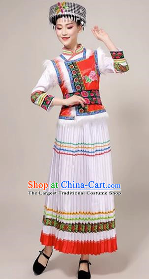 Ethnic Minority Costume Lisu Dance Performance Costume Adult Female Yunnan Performance Costume Suit Skirt