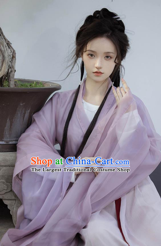 China Southern and Northern Dynasties Princess Garment Costumes Ancient Fairy Clothing Traditional Lilac Hanfu Dress